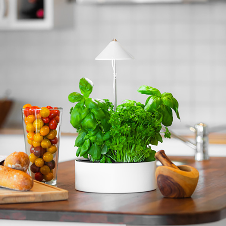 Herb pot with plant lamp