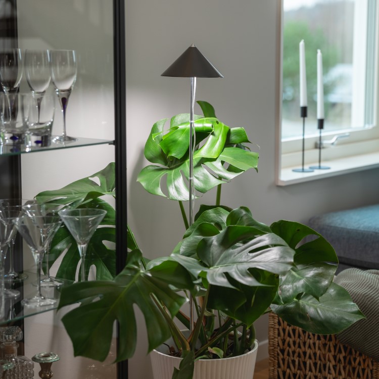plant tall stand High Wooden Plant Stand main image 0