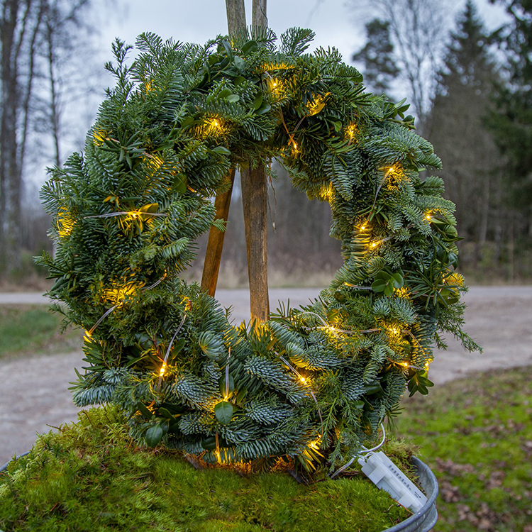 Transparent Fairy Lights Indoor and Outdoor