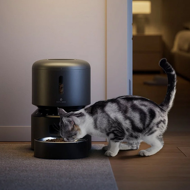 Automatic pet food dispenser