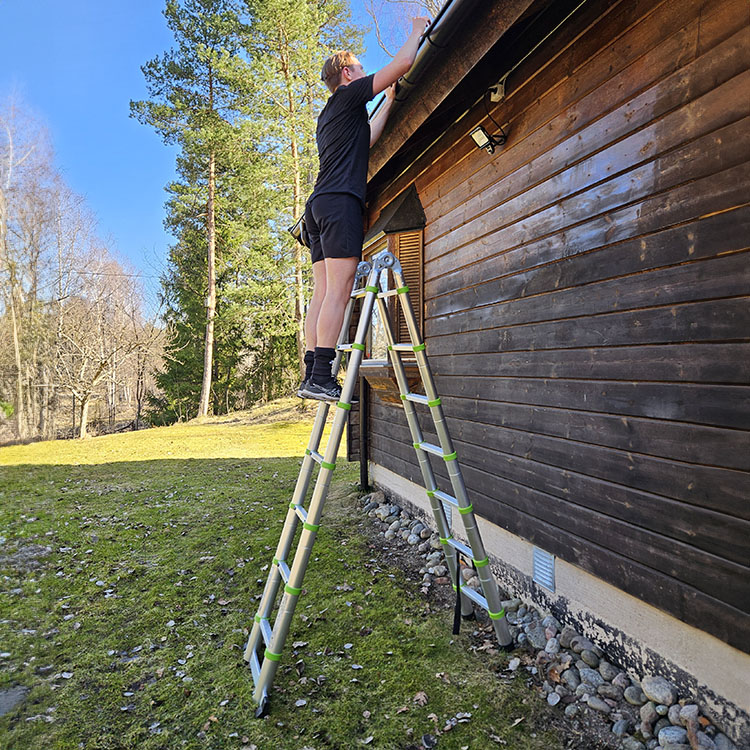 Telescopic ladder