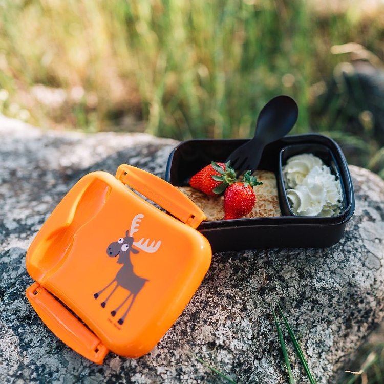 Food box with a cooling lid