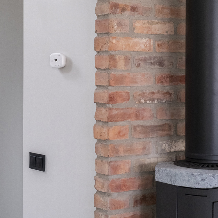 Carbon monoxide detector