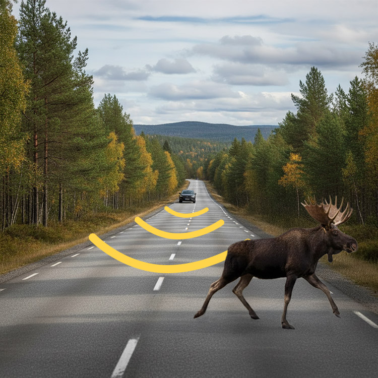 Wildlife deterrent for the car