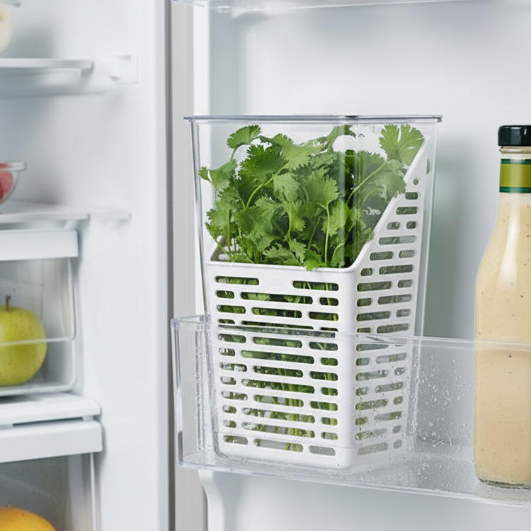 Herb container for the fridge