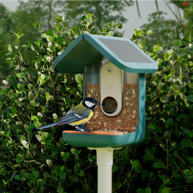 Bird feeder with camera, Birdbuddy