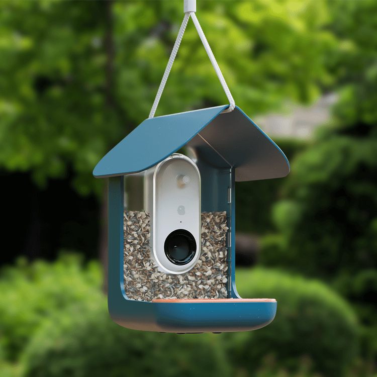 Bird feeder with camera, Birdbuddy