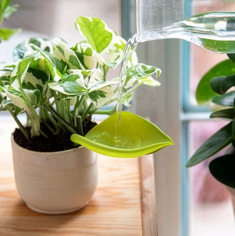 Watering funnel for pot, 3-pack