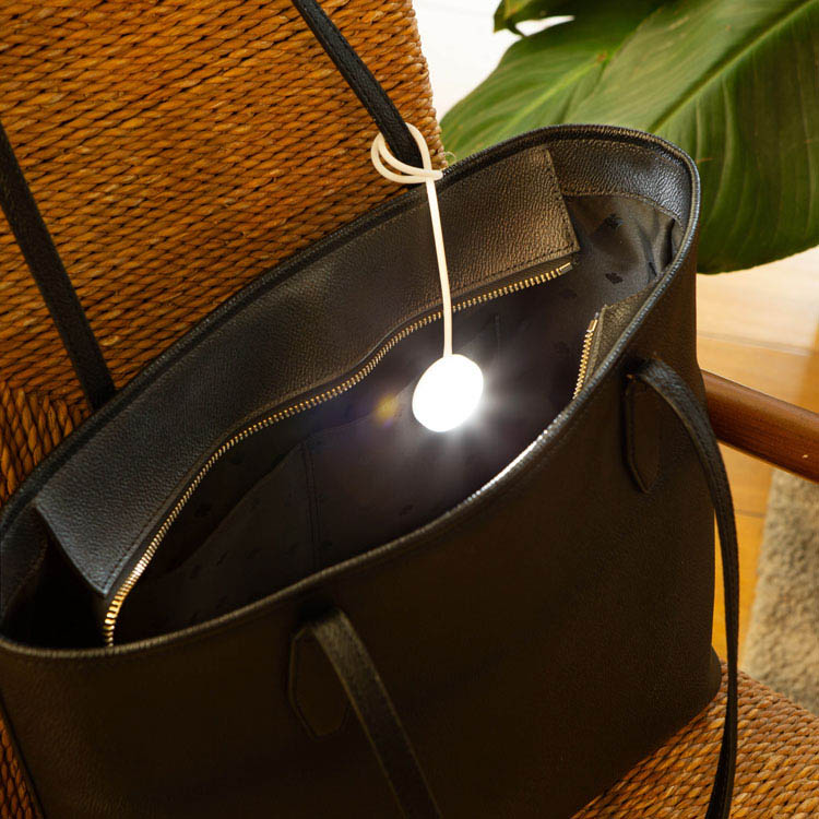 Rechargeable bag light