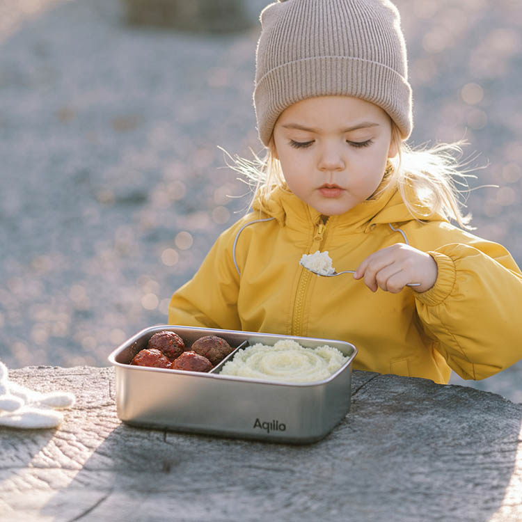 Rechargeable lunch box heater