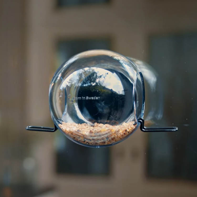 Round window bird feeder