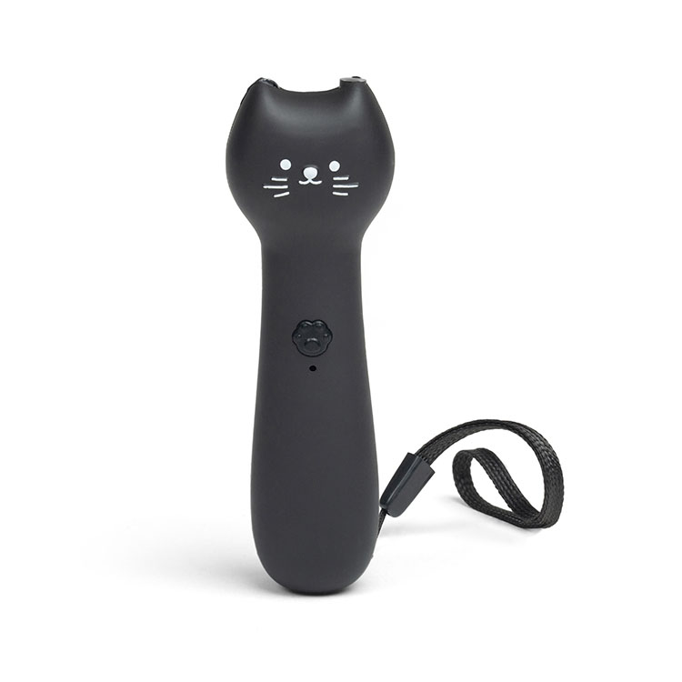 Laser pointer for cat