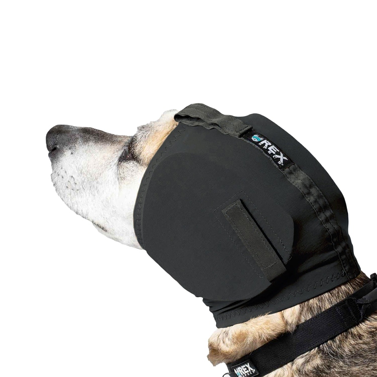 Hearing protection for dogs