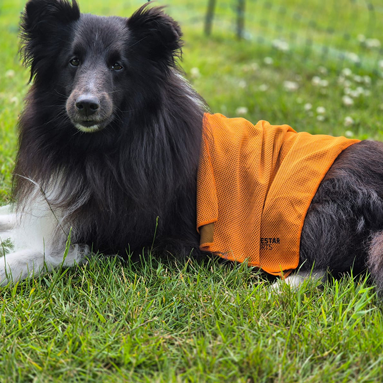 Cooling towel