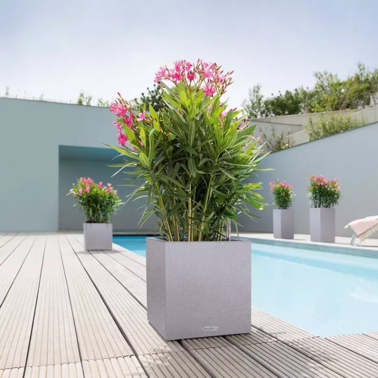 Self-watering pot