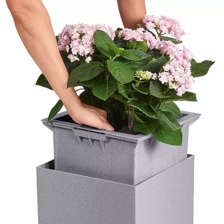Self-watering pot