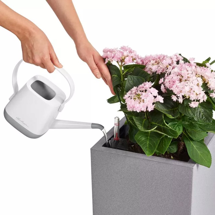 Self-watering pot