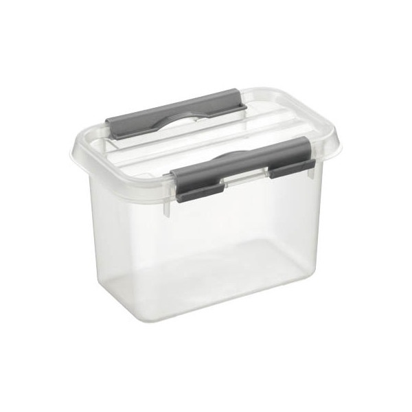Box, 0,8L, Q-LINE SMALL BOX, 15 x 10 x H 10,8 cm, Clear / Silver Grey