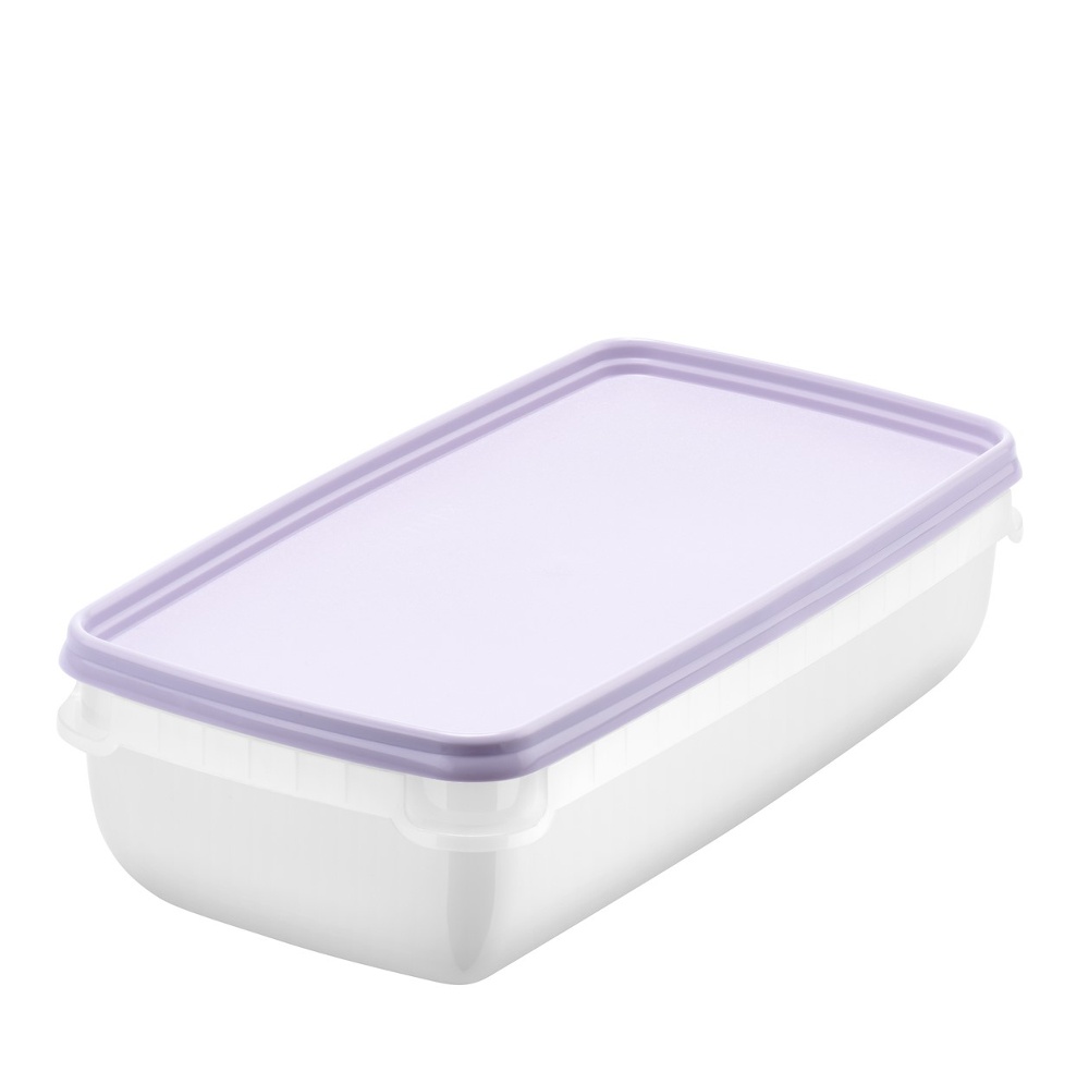 Freezer Boxes 1,2L, Stackable, Set of 2, SMARTSTORE FROST, White / Purple