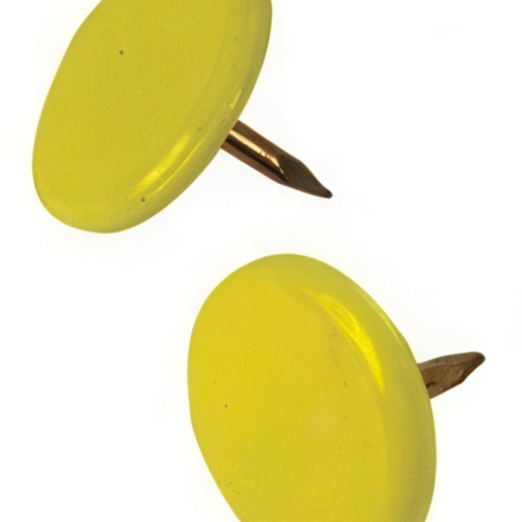 Thumbtacks, 100 pcs