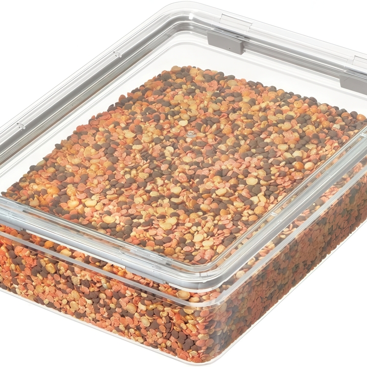 Airtight Container, 2 L, iD FRESH SHORT CANISTER, 20 x 26,5 x H 8 cm , Transparent