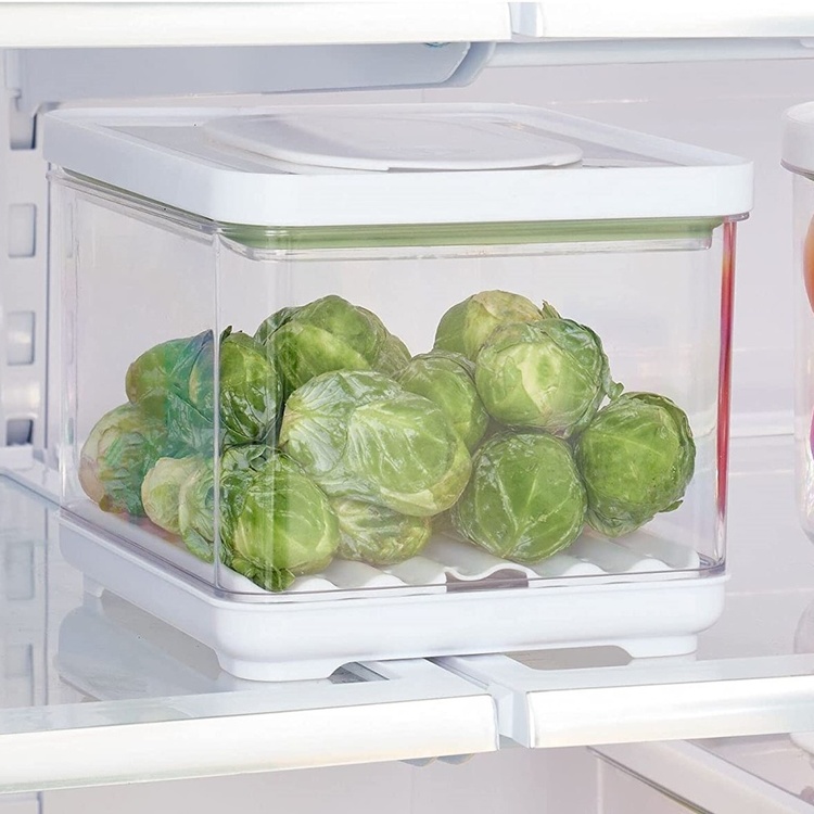 Food Storage, Anti-Microbial, ID FRESH SMALL PRODUCE BIN, 16,5 x 19 x H 14 cm Clear