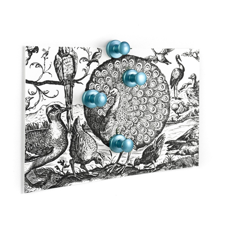 Magnets / Hooks Super strong MINI-MAX , set of 4, Ø 1,4 x H 1,5 cm, Silver Blue