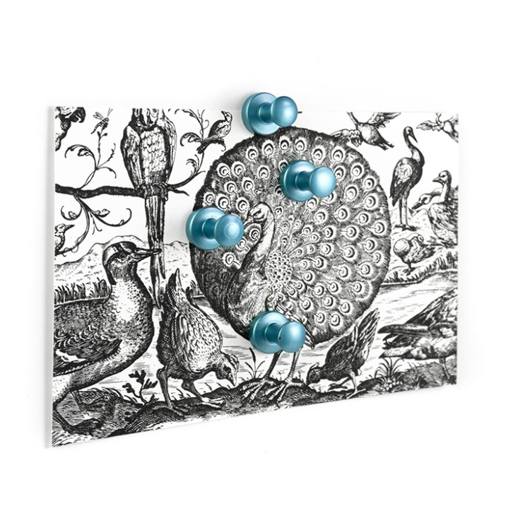 Magnets / Hooks Super strong MINI-MAX , set of 4, Ø 1,4 x H 1,5 cm, Silver Blue