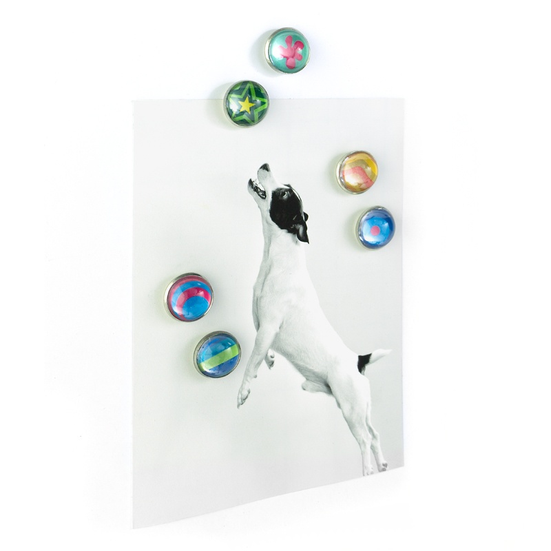 Magnets, Set of 6, ARGUS, Ø 1,7 cm, assorted