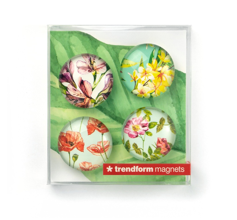 Magnets, Set of 4, FLOWER, Ø 3,5 cm, Multcolour