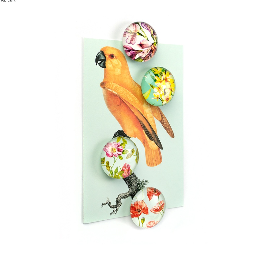 Magnets, Set of 4, FLOWER, Ø 3,5 cm, Multcolour
