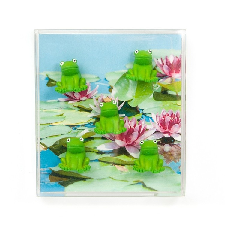 Magnets, set of 5, FROG, Green