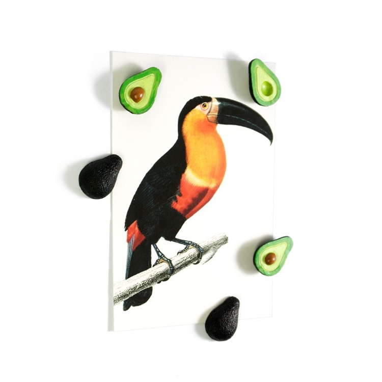 Magnets, Set of 5, AVOCADO, Green / Black
