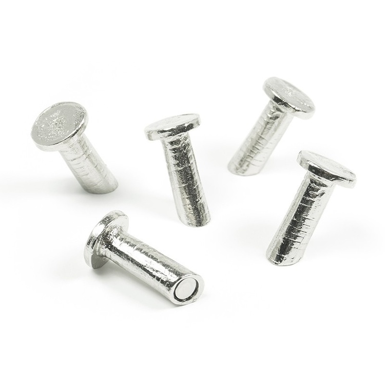 Magnets, set of 5, NAIL, Ø 1,5 x H 2,8 cm, silver