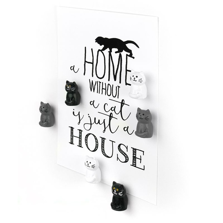 Magnets cats, CAT, set of 6, Assorted