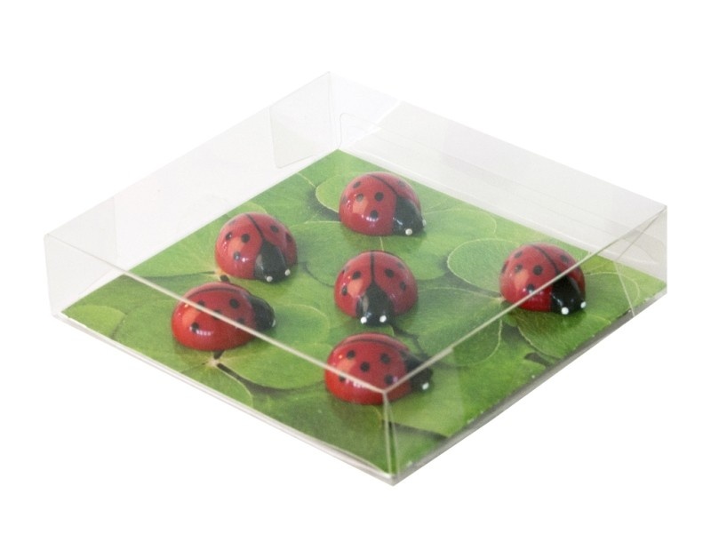 Magnets LADYBUG, set of 6, red