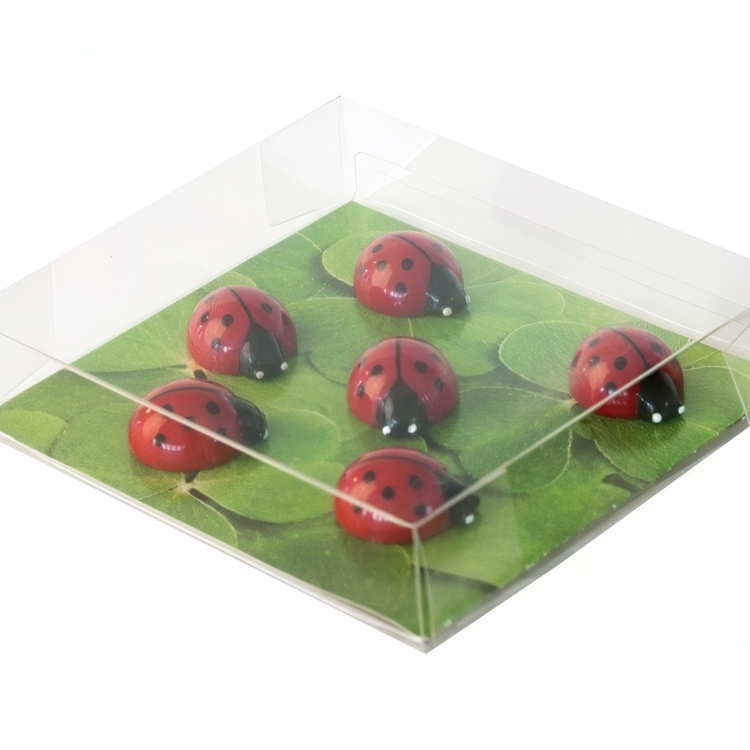 Magnets LADYBUG, set of 6, red