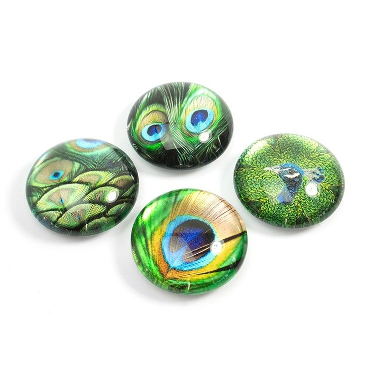 Magnets, Set of 4, PEACOCK, Ø 3,5 cm