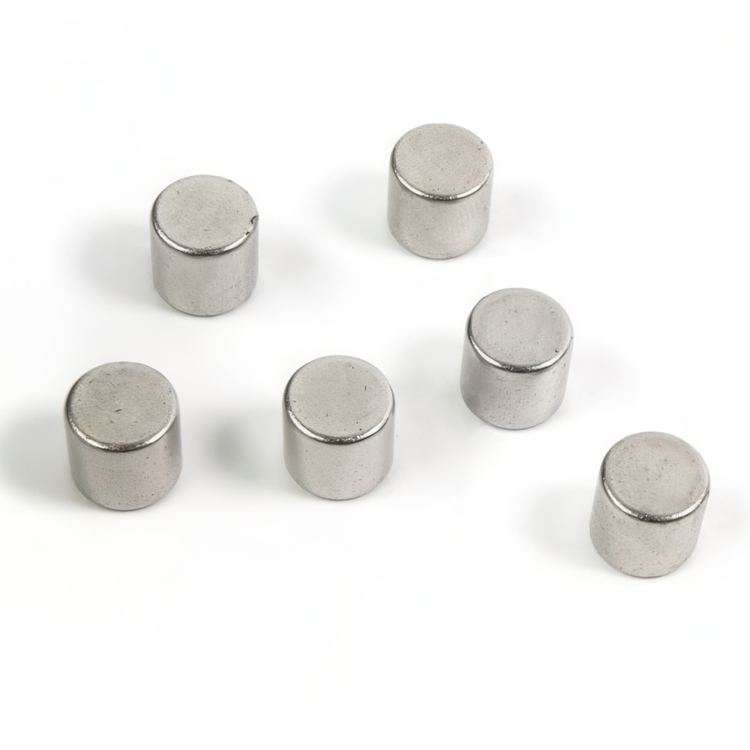 Magnets, Set of 6, BOLT, Ø 0,8 x H 9,8 cm, Silver