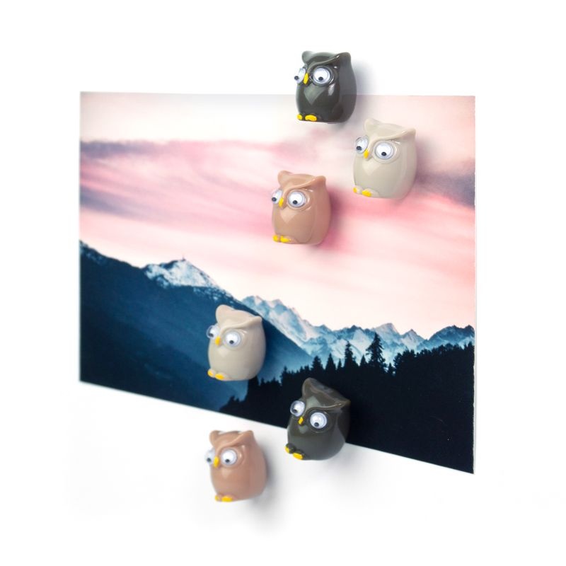 Magnets OWL, set of 6, Assorted