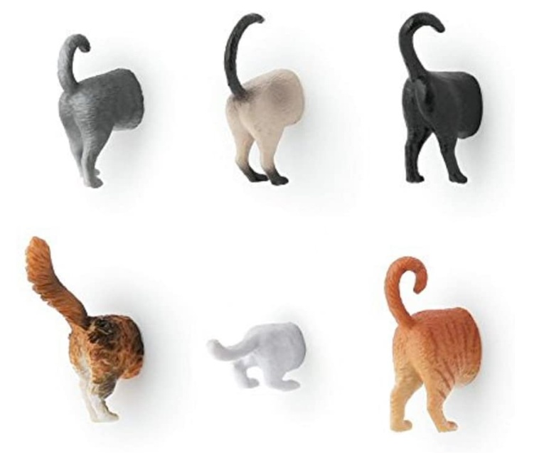 Magnets, Set of 6, CAT BUTTS, Assorted