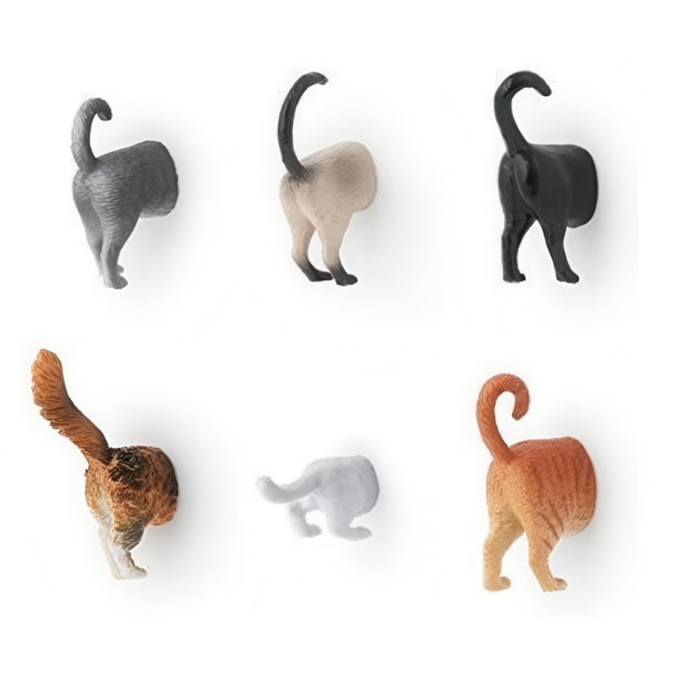Magnets, Set of 6, CAT BUTTS, Assorted