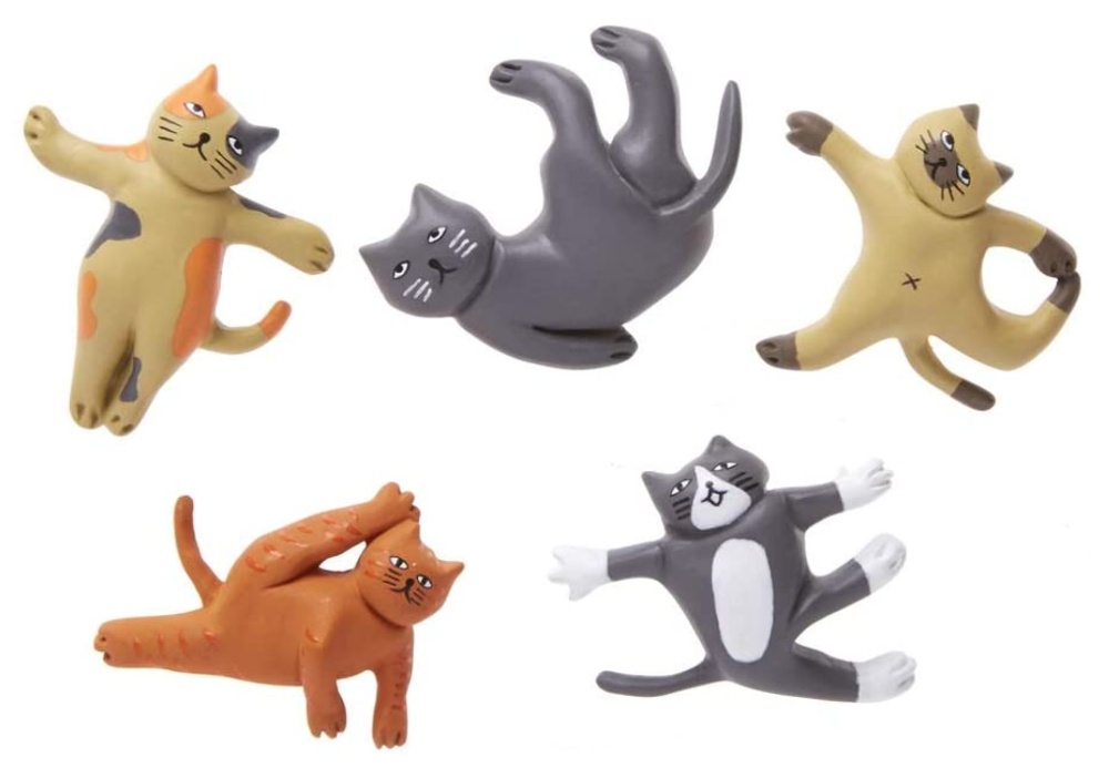 Magnets, Set of 6, CAT YOGA, Assorted