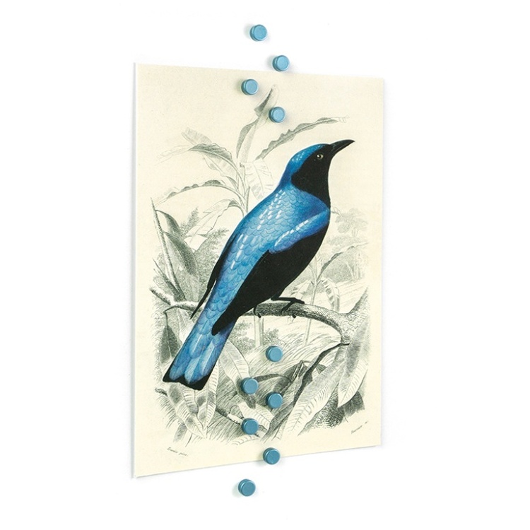 Magnets, Strong, Mini, Set of 10, STEELY, Ø 0,6 x H 0,3 cm, Silver Blue