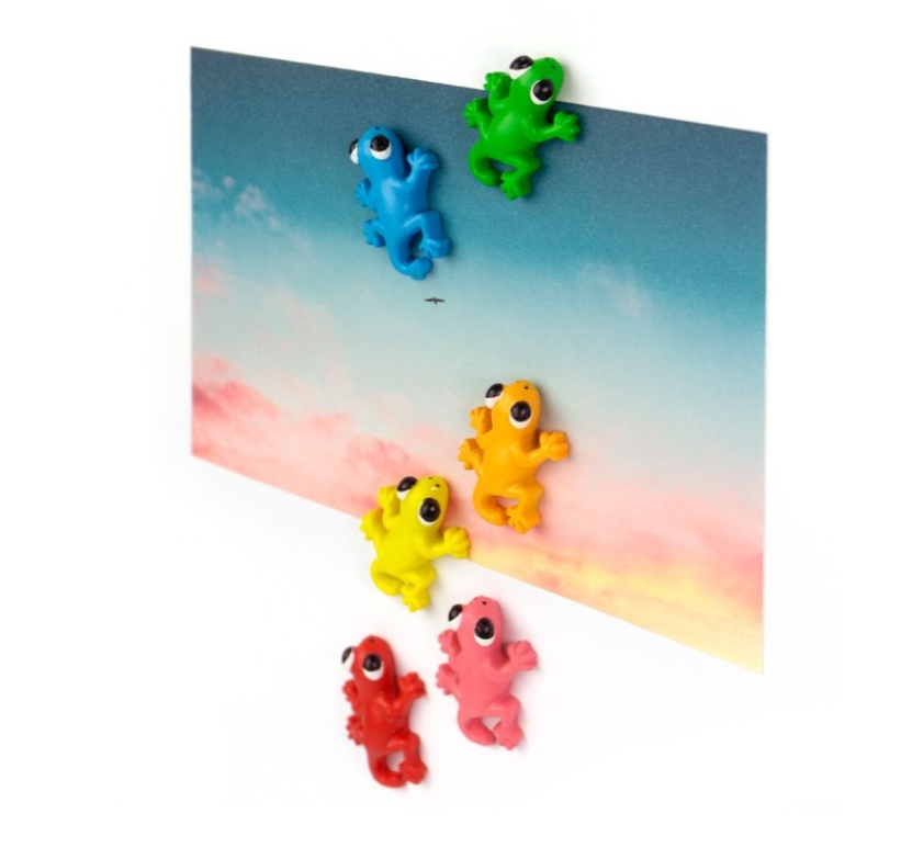 Magnets, Set of 6, GECKO, 3,4 x 2,2 cm, assorted