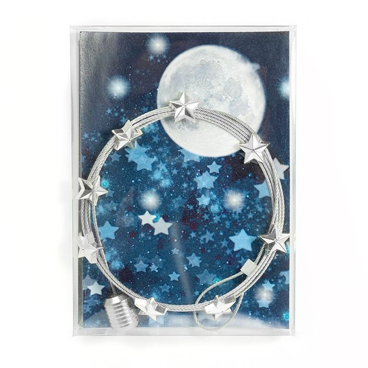Magnetic card holder with 8 star magnets, STAR, 150 cm, Silver