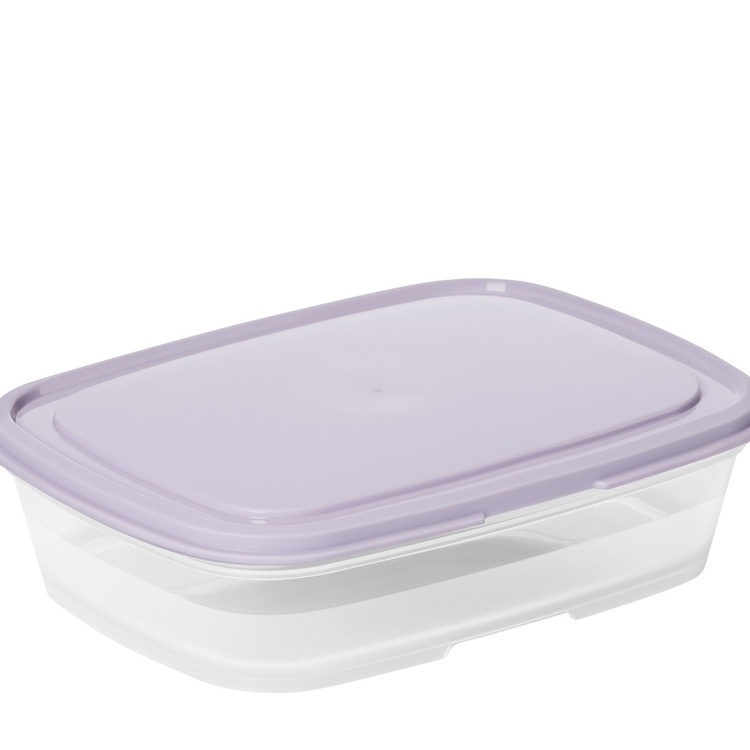 Food storage, 0,5 L, SMARTSTORE FRESH, Transparent / Purple