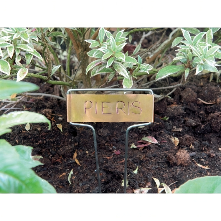 Plant labels, COPPER TEE LABELS, 5 pcs, Copper