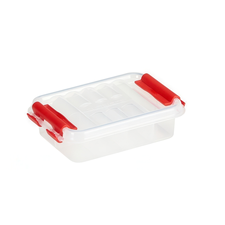 Small box, 8 compartments, FIRST AID PILL ORGANIZER, 12 x 7,7 x H 3 cm, Clear / Red