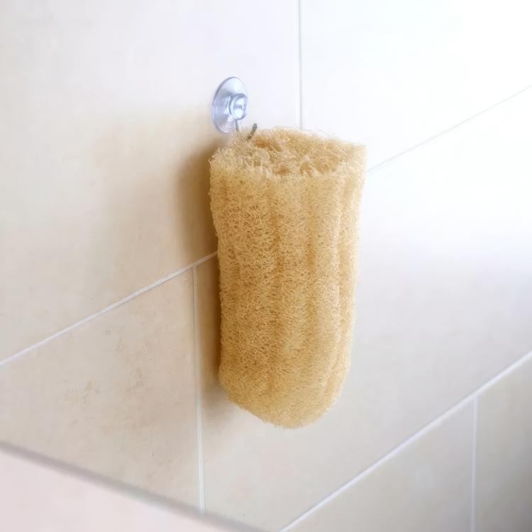 Hook suction cup, MINI HOOK, Ø 3 cm, Clear Silver